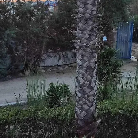 Oasi Dune E Mare Σπίτι διακοπών *